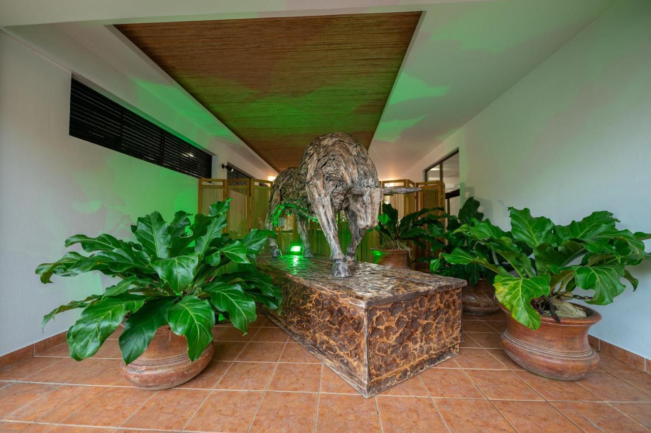 Hotel Costa Pacifica エステリリョス エクステリア 写真